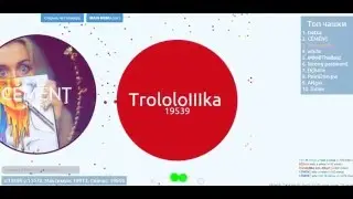 Чашка Петри Мега Сплит Нагнул 54000+