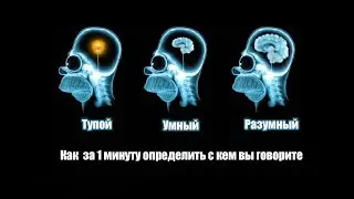 Как за 1 минуту определить с кем Вы говорите  💡