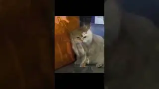 warning spoiler call of duty 