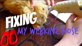 Giving my Webkinz a Nose Job