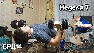 СРЦ14. Неделя 7.  Перед Кубком Киева