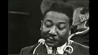 MUDDY WATERS 1966 Got My Mojo Working