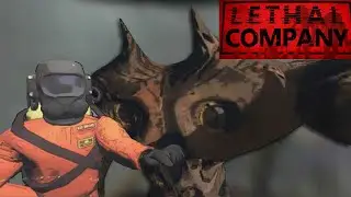 Почти не страшно в Lethal Company