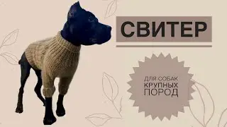 Large breed dog sweater / Knitted dog sweater / How to knit a dog sweater / Knitting