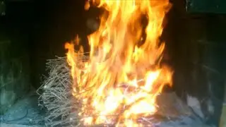 SEPPIE GRIGLIATE,COME ACCENDERE IL  FUOCO#51-MARIA ROSA PINTO Seiche grillée, comment allumer le feu