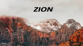 ZION! WHAT DO YOU MEAN?
