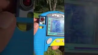 The REAL Megaman Plug-In Pet