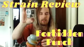 Forbidden Punch Strain Review/Smoke Sesh