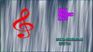 МУЗЫКАЛЬНЫЕ ЦВЕТЫ ОНЛАЙН