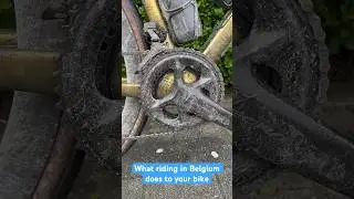 Ruined my bike?? 