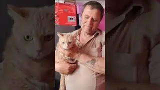 давай её прогоним