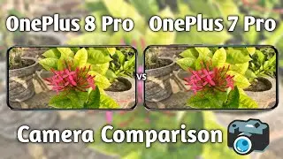 OnePlus 8 Pro vs OnePlus 7 Pro Camera Test Comparison