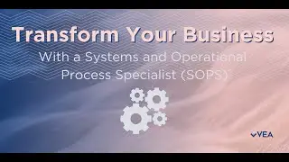Transform Your Business With A Systems and Operational Process Specialist (SOPS)