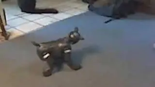 Sparky Playing