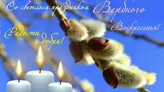 С Добрым утром! 🌸С  Вербным Воскресеньем! 🌸Пусть будут все здоровы!🌸Good morning🌸