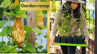 The 2023 GARDEN | What worked, What didn't & What I'm changing
