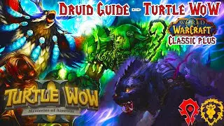 ULTIMATE DRUID GUIDE for Turtle WoW, Every Build Explained in details, talents, rotation etc!