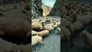 Цумадинский район и его природные красоты | Дагестан.