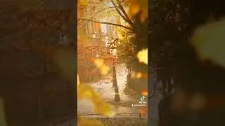 #моистихи #татьянасавицкая