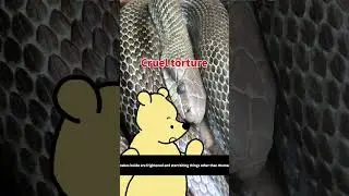 【History of Japan】Cruel torture　