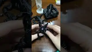 Котенок сфинкс 