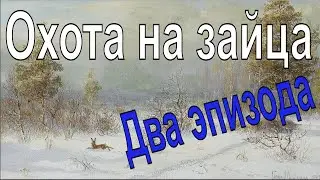 Охота на зайца 2020.Выход зайца на номер!/Hunting from a number for a hare!