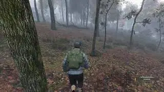 DAYZ. Сервер FULL365 Zenitka. Продолжаем забег