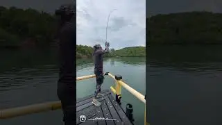 Eging from a man made fishing platform..