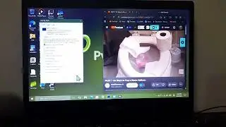 MadShenans Crying Has BSOD