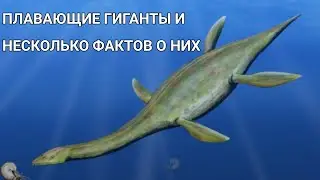 ПЛАВАЮЩИЕ ГИГАНТЫ. КЛАДА ИНТЕРЕСНЫХ РЕПТИЛИЙ. ЗАВРОПТЕРИГИИ