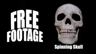 Free Footage: Spinning  skull