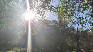VID 20211202 144934