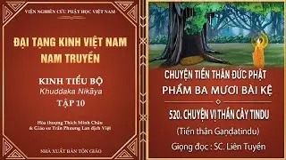 ĐẠI TẠNG KINH - PHẨM BA MƯƠI BÀI KỆ - CHUYỆN VỊ THẦN CÂY TINDU (Tiền thân Gaṇḍatindu)