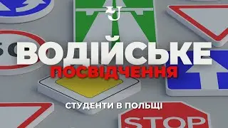 Як отримати права водія в Польщі. Водійське посвідчення.