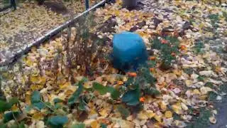 Файл №151СМ  Листая фото  x264 002