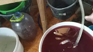 Перегон вина на НБК