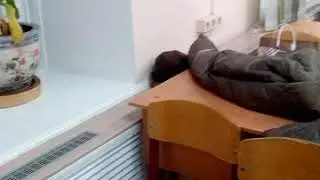 Ццц