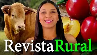 PROGRAMA REVISTA RURAL - 01/12/2024