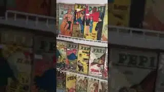Pepin Colección