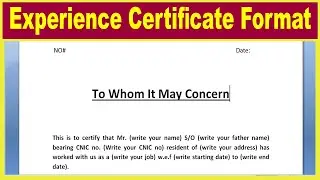 Experience certificate format // How to write experience certificate in English