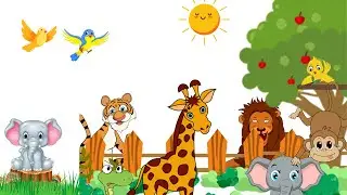 animals for kids to learn | animals for children | Funny animal videos | Animals video 