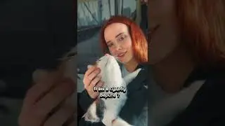 А вы в судьбу верите ?