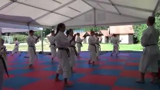 Karate camp 2014 demo