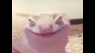 blast.mp4