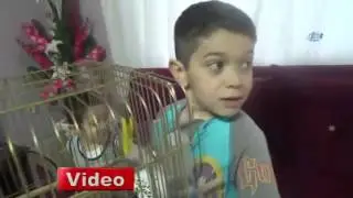 Kaybolan Kuşunu Bulana 5 TL Okul Harçlığını Verecek