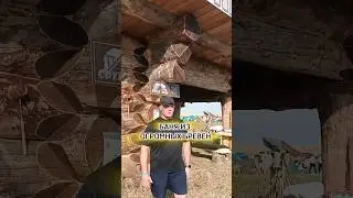 Баня из огромных бревен 🔥 Как вам ?