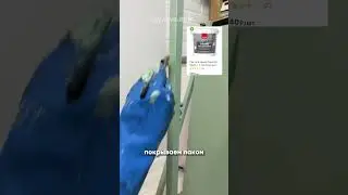 Как она это сделала?😱