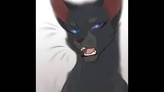 Коты Воители эдит Грач, Сумеречница, Чернохват.