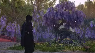 Assassin's Creed Shadows Hideout Tour - Overgrown Wisteria Forest
