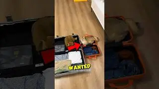 This Cat Wanted To Go On VACATION 
